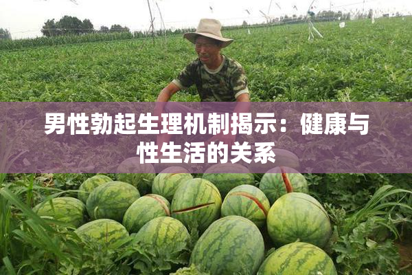 男性勃起生理机制揭示：健康与性生活的关系