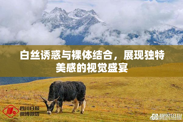 白丝诱惑与裸体结合，展现独特美感的视觉盛宴