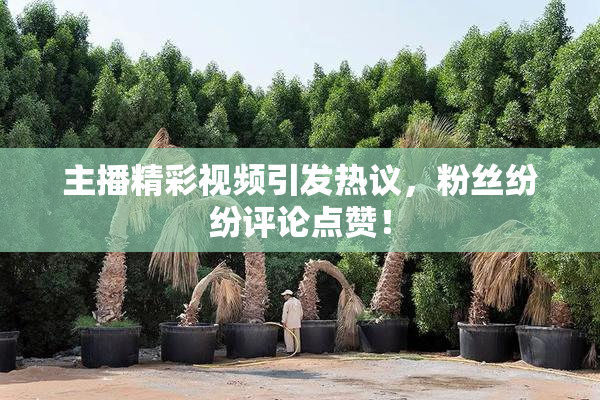 主播精彩视频引发热议，粉丝纷纷评论点赞！