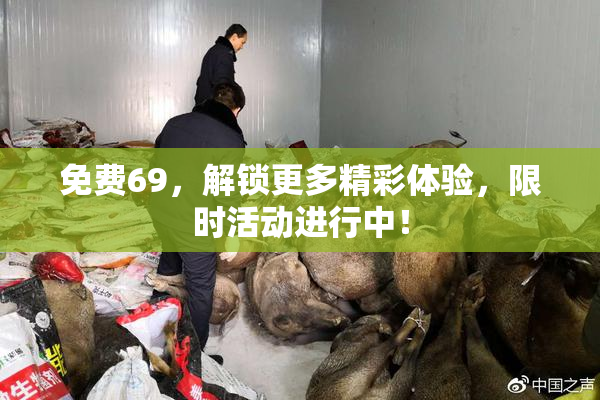 免费69，解锁更多精彩体验，限时活动进行中！