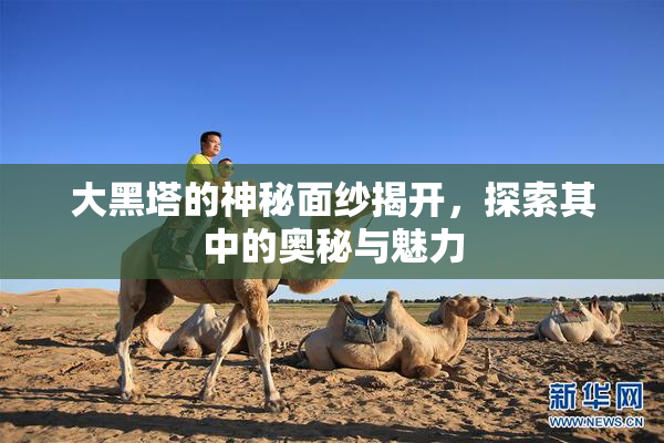 大黑塔的神秘面纱揭开，探索其中的奥秘与魅力