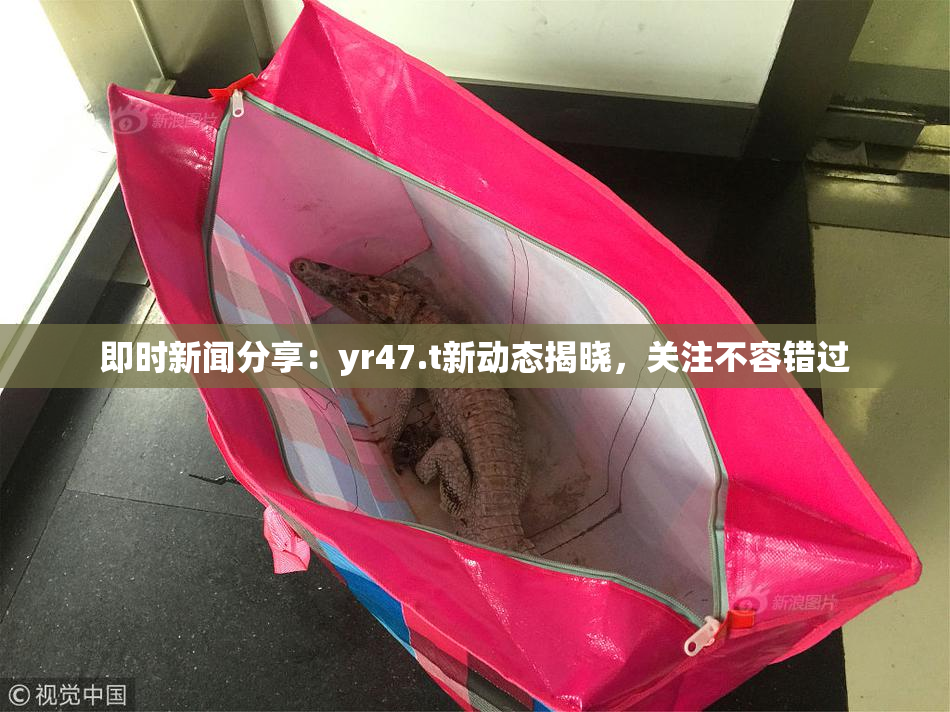 即时新闻分享：yr47.t新动态揭晓，关注不容错过
