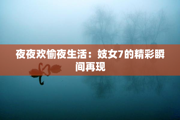 夜夜欢愉夜生活：妓女7的精彩瞬间再现