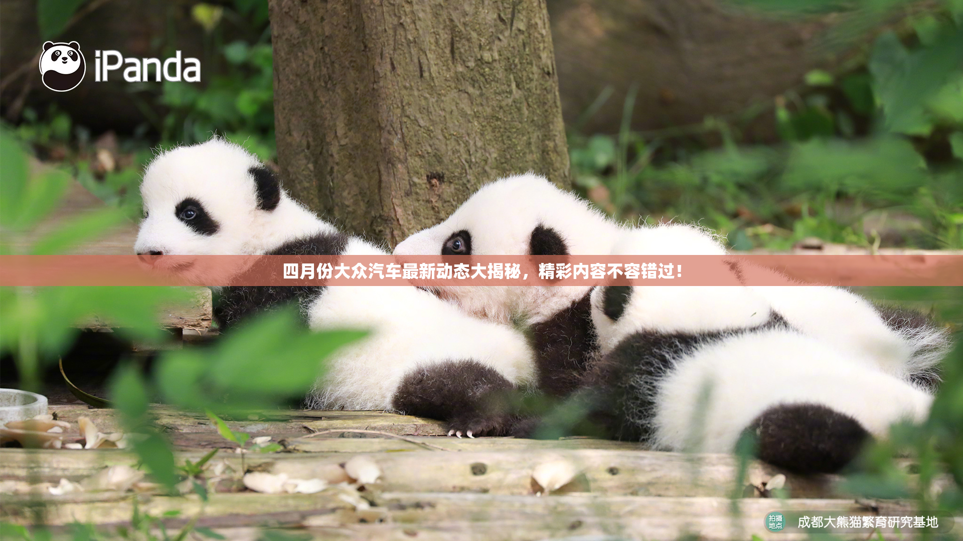 四月份大众汽车最新动态大揭秘，精彩内容不容错过！