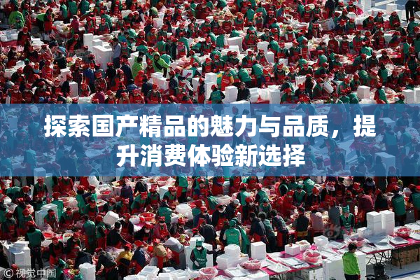 探索国产精品的魅力与品质，提升消费体验新选择