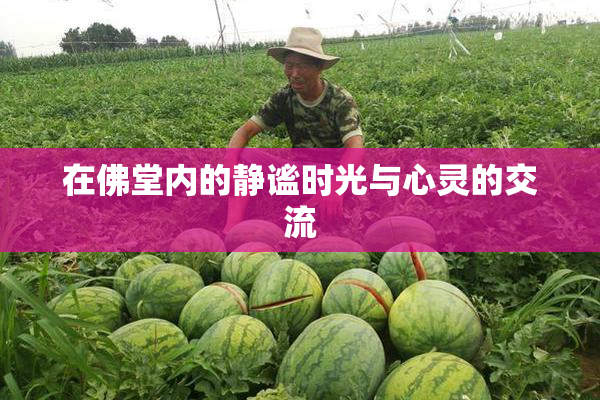 在佛堂内的静谧时光与心灵的交流