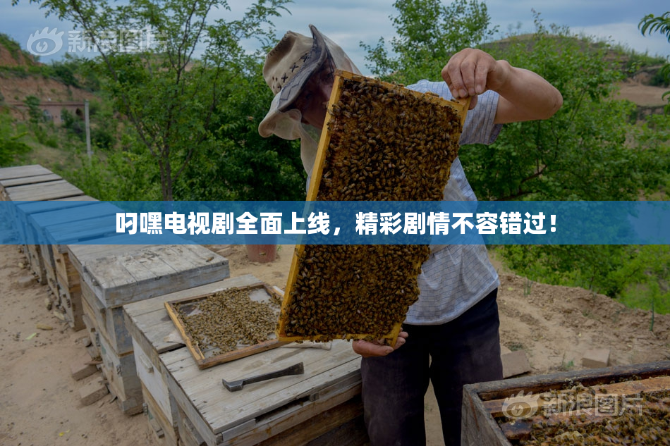叼嘿电视剧全面上线，精彩剧情不容错过！
