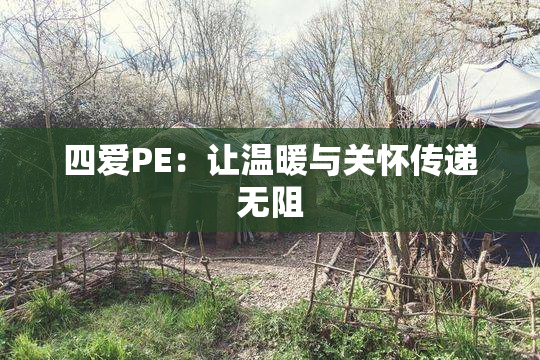 四爱PE：让温暖与关怀传递无阻