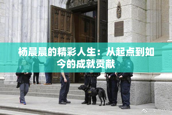 杨晨晨的精彩人生：从起点到如今的成就贡献