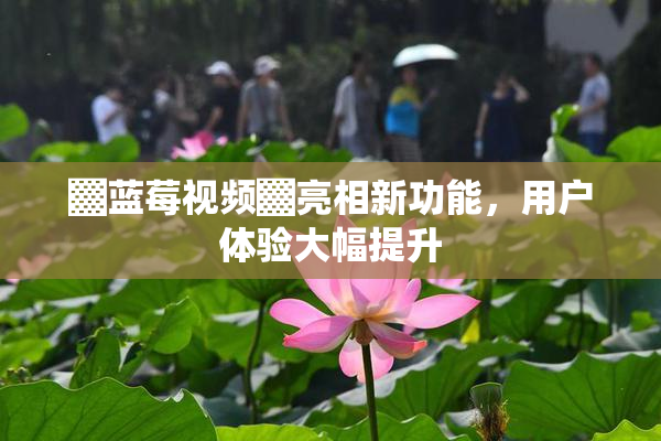 ▓蓝莓视频▓亮相新功能，用户体验大幅提升