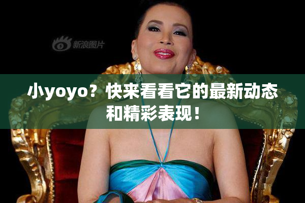 小yoyo？快来看看它的最新动态和精彩表现！