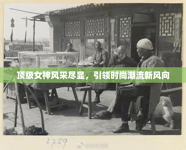 顶级女神风采尽显，引领时尚潮流新风向