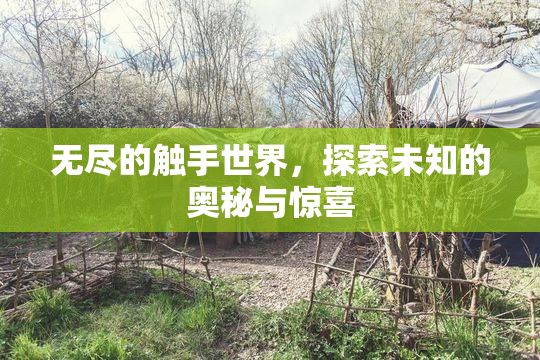 无尽的触手世界，探索未知的奥秘与惊喜