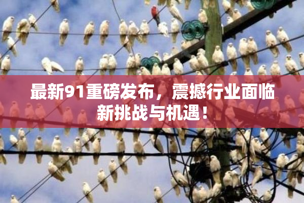 最新91重磅发布，震撼行业面临新挑战与机遇！