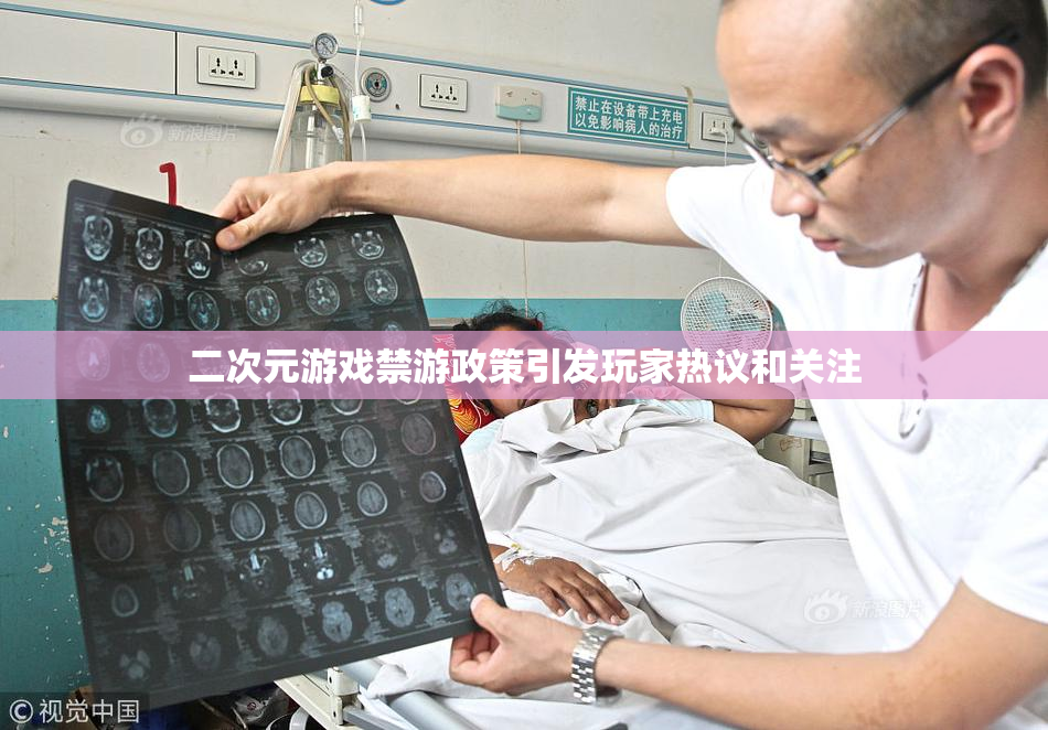 二次元游戏禁游政策引发玩家热议和关注