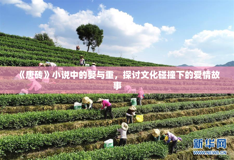 《唐砖》小说中的娶与重，探讨文化碰撞下的爱情故事