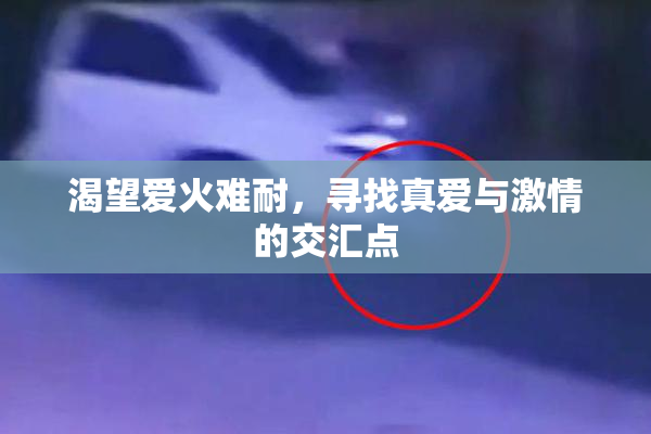 渴望爱火难耐，寻找真爱与激情的交汇点