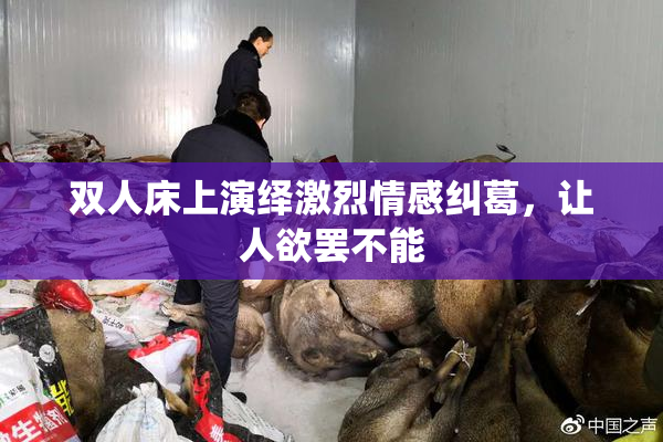 双人床上演绎激烈情感纠葛，让人欲罢不能