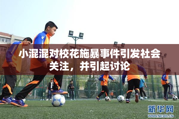 小混混对校花施暴事件引发社会关注，并引起讨论