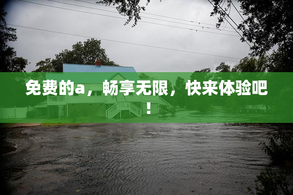 免费的a，畅享无限，快来体验吧！