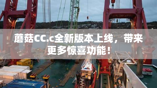 蘑菇CC.c全新版本上线，带来更多惊喜功能！