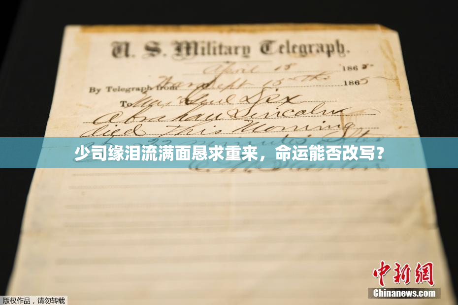 少司缘泪流满面恳求重来，命运能否改写？