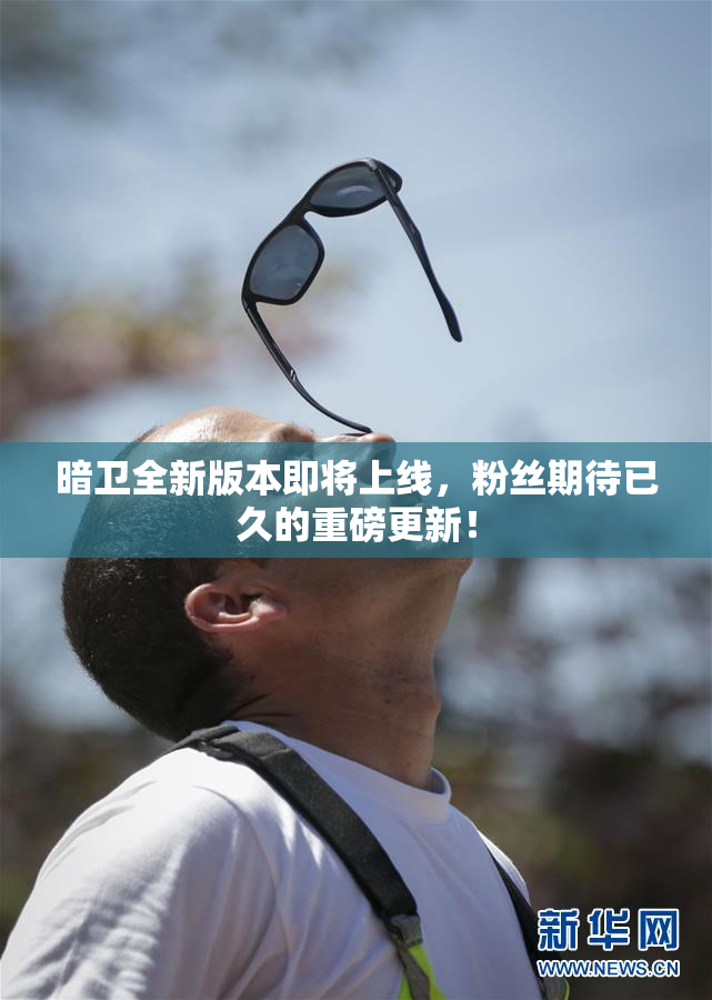 暗卫全新版本即将上线，粉丝期待已久的重磅更新！