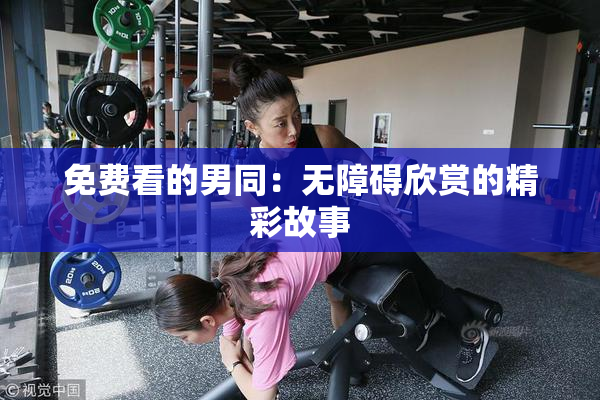 免费看的男同：无障碍欣赏的精彩故事
