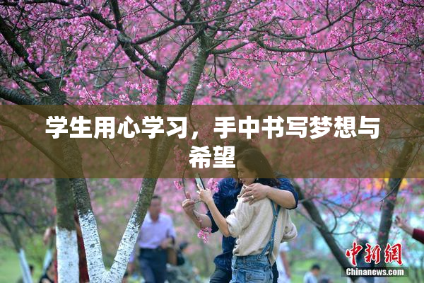 学生用心学习，手中书写梦想与希望