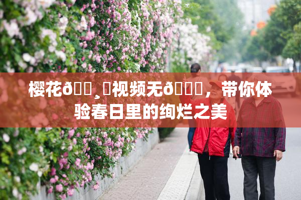樱花🌸‌视频无🈚，带你体验春日里的绚烂之美