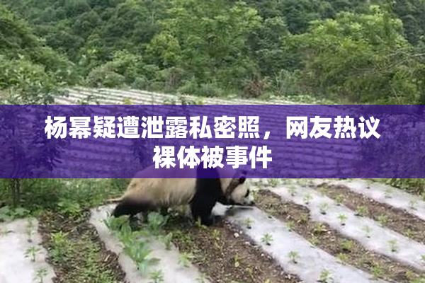 杨幂疑遭泄露私密照，网友热议裸体被事件