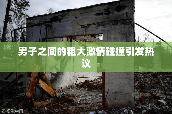 男子之间的粗大激情碰撞引发热议