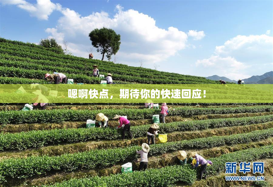嗯啊快点，期待你的快速回应！