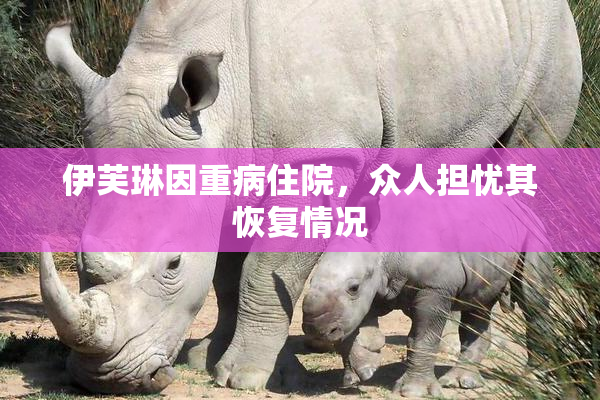伊芙琳因重病住院，众人担忧其恢复情况