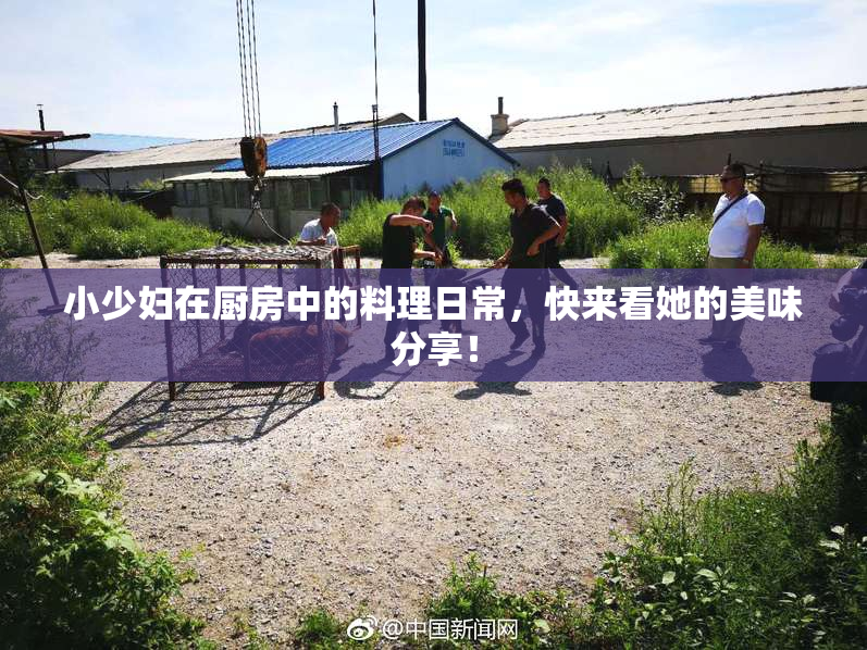 小少妇在厨房中的料理日常，快来看她的美味分享！
