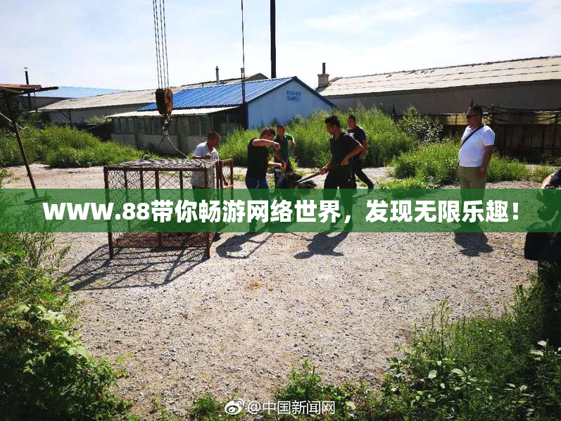 WWW.88带你畅游网络世界，发现无限乐趣！