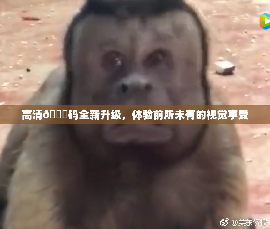高清🈚码全新升级，体验前所未有的视觉享受