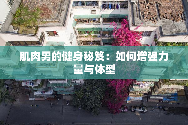 肌肉男的健身秘笈：如何增强力量与体型