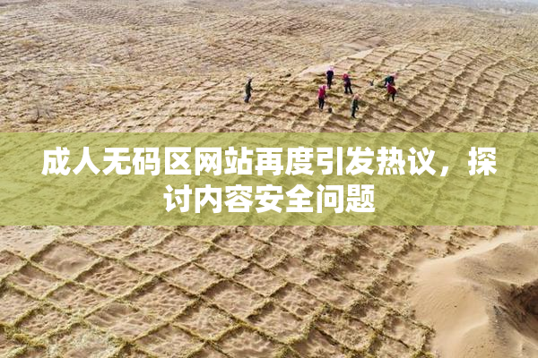 成人无码区网站再度引发热议，探讨内容安全问题
