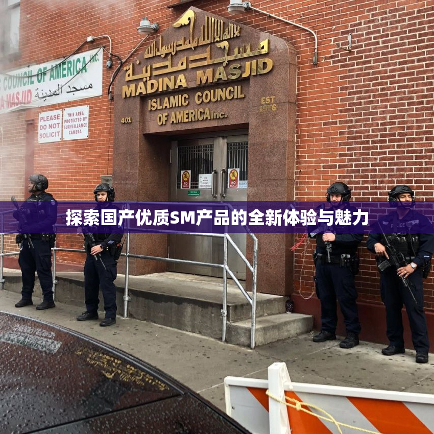 探索国产优质SM产品的全新体验与魅力