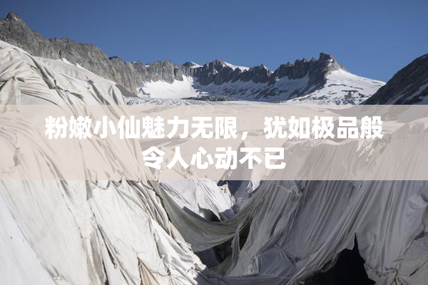 粉嫩小仙魅力无限，犹如极品般令人心动不已