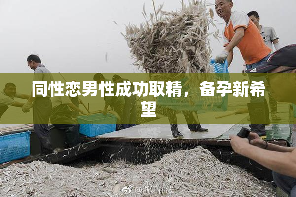 同性恋男性成功取精，备孕新希望