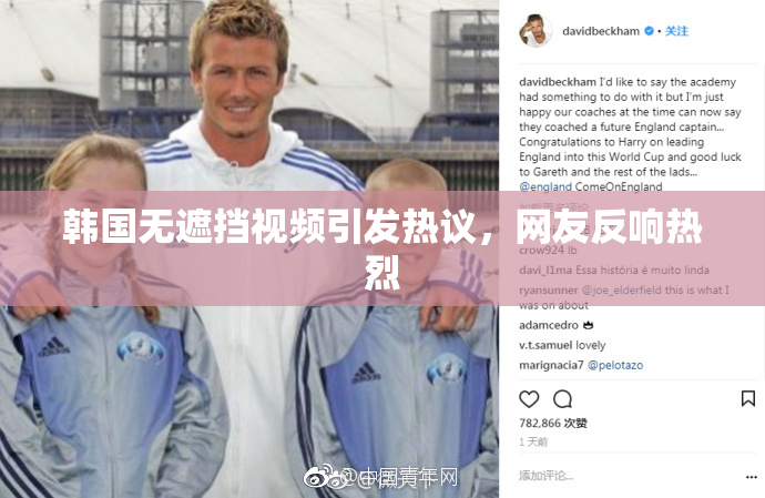 韩国无遮挡视频引发热议，网友反响热烈