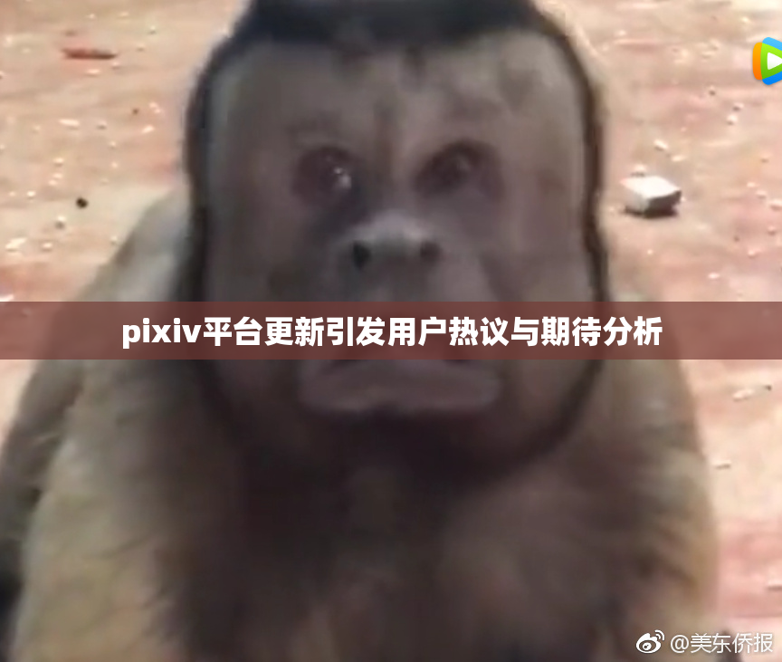 pixiv平台更新引发用户热议与期待分析