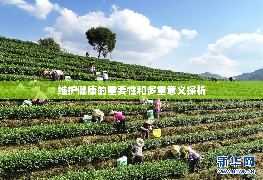 维护健康的重要性和多重意义探析