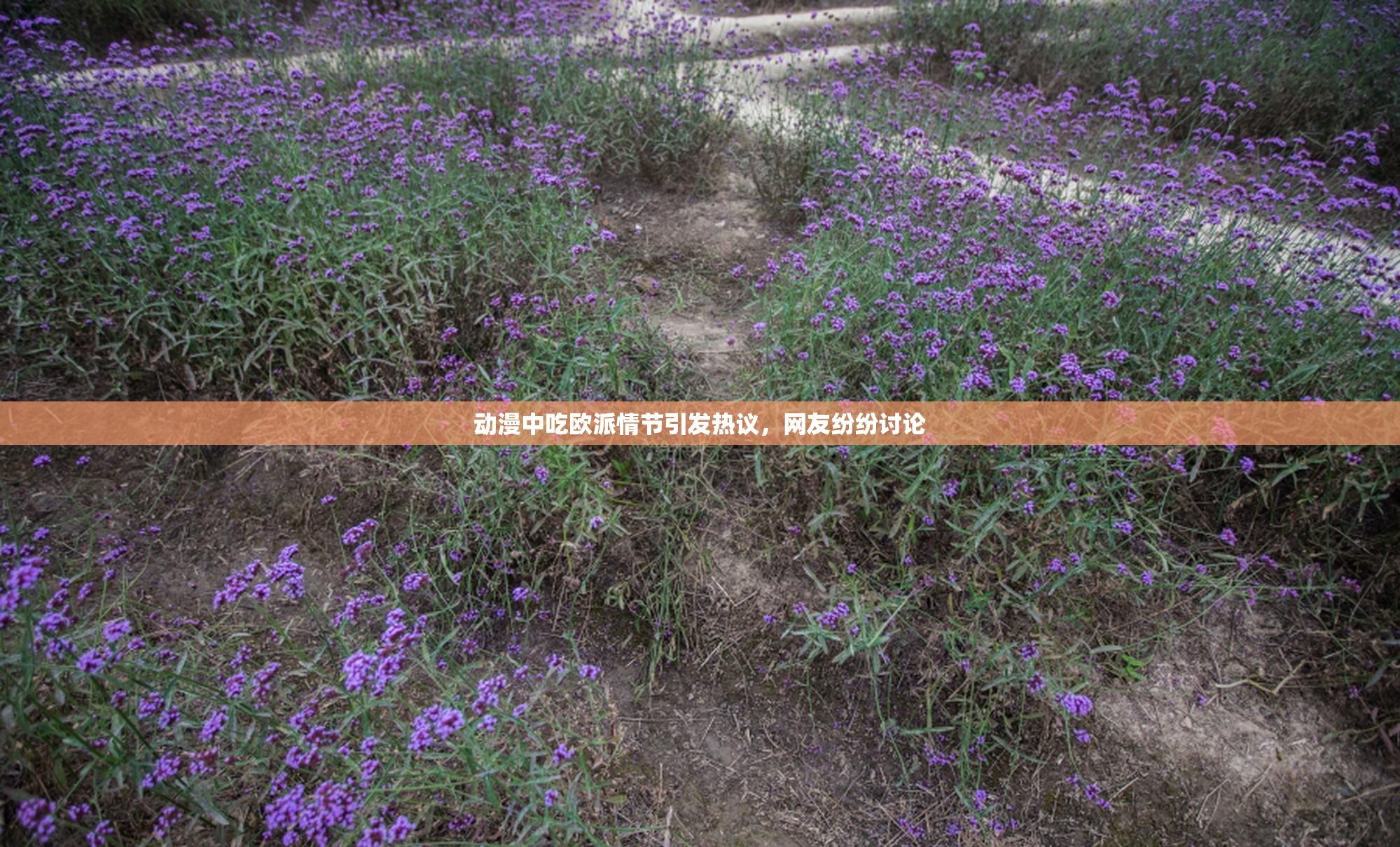 动漫中吃欧派情节引发热议，网友纷纷讨论