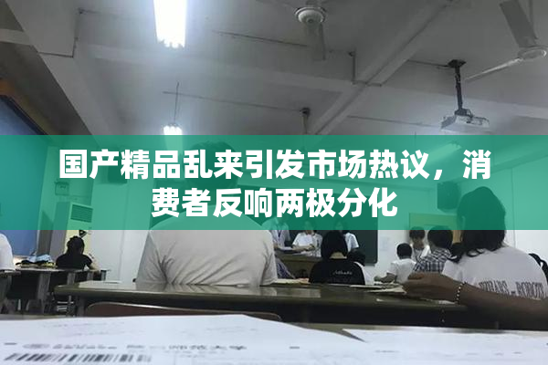国产精品乱来引发市场热议，消费者反响两极分化