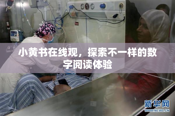 小黄书在线观，探索不一样的数字阅读体验