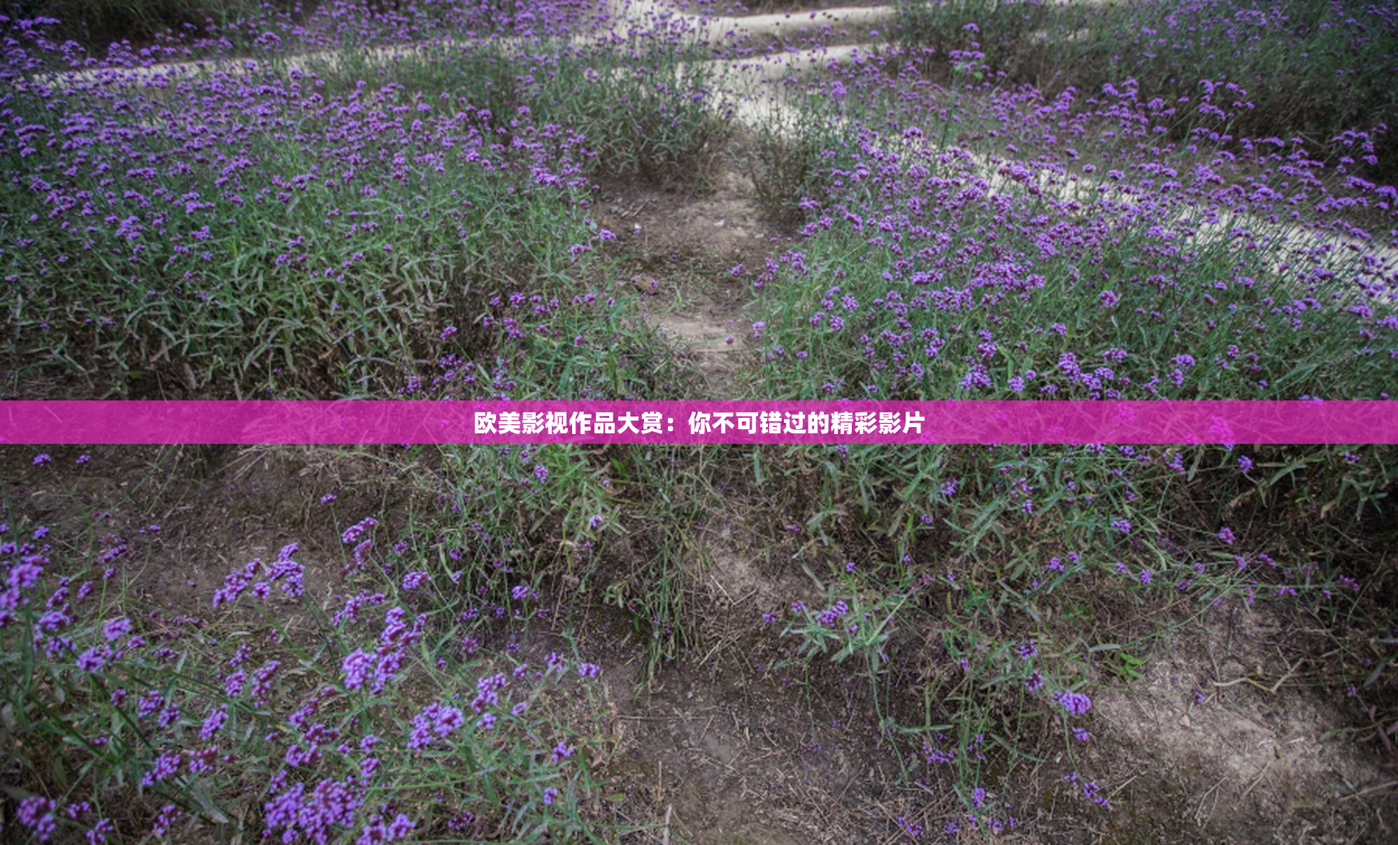 欧美影视作品大赏：你不可错过的精彩影片