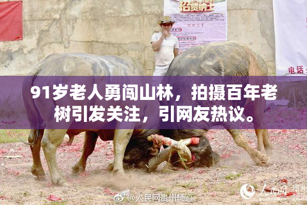 91岁老人勇闯山林，拍摄百年老树引发关注，引网友热议。